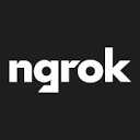 ngrok Proxy (e9ea) logo