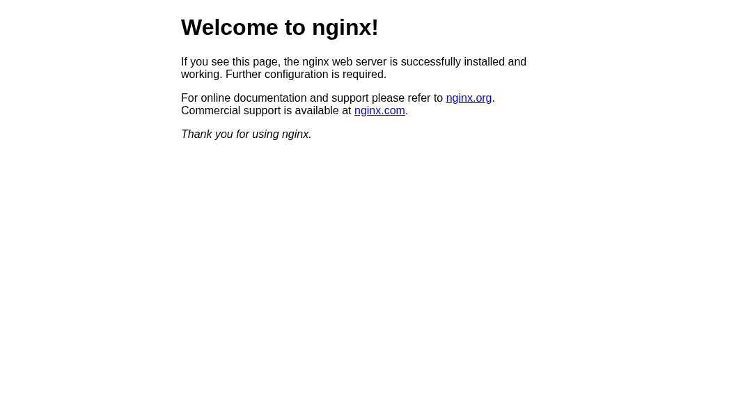 nginx interface preview
