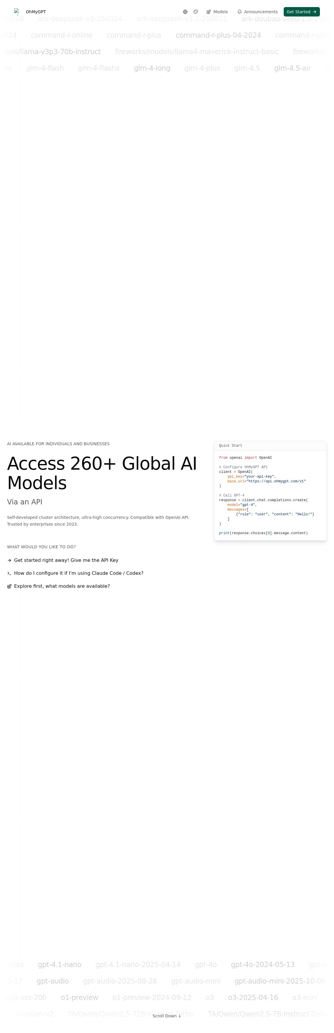 OhMyGPT interface preview